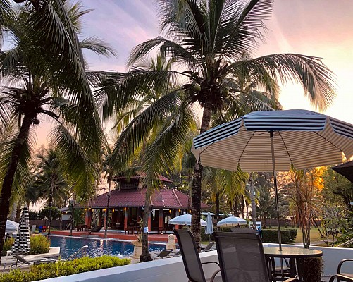 The Palm Bar